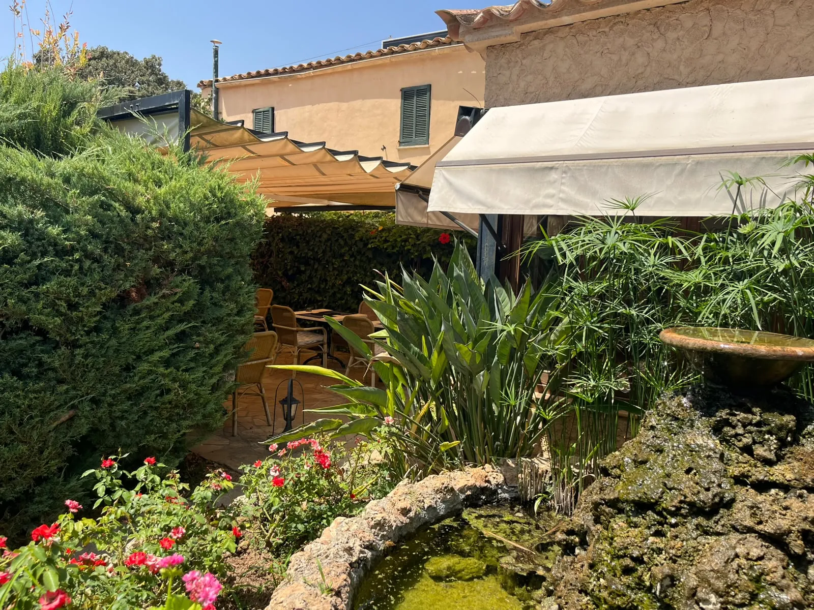 Corner of the garden with a stone pond