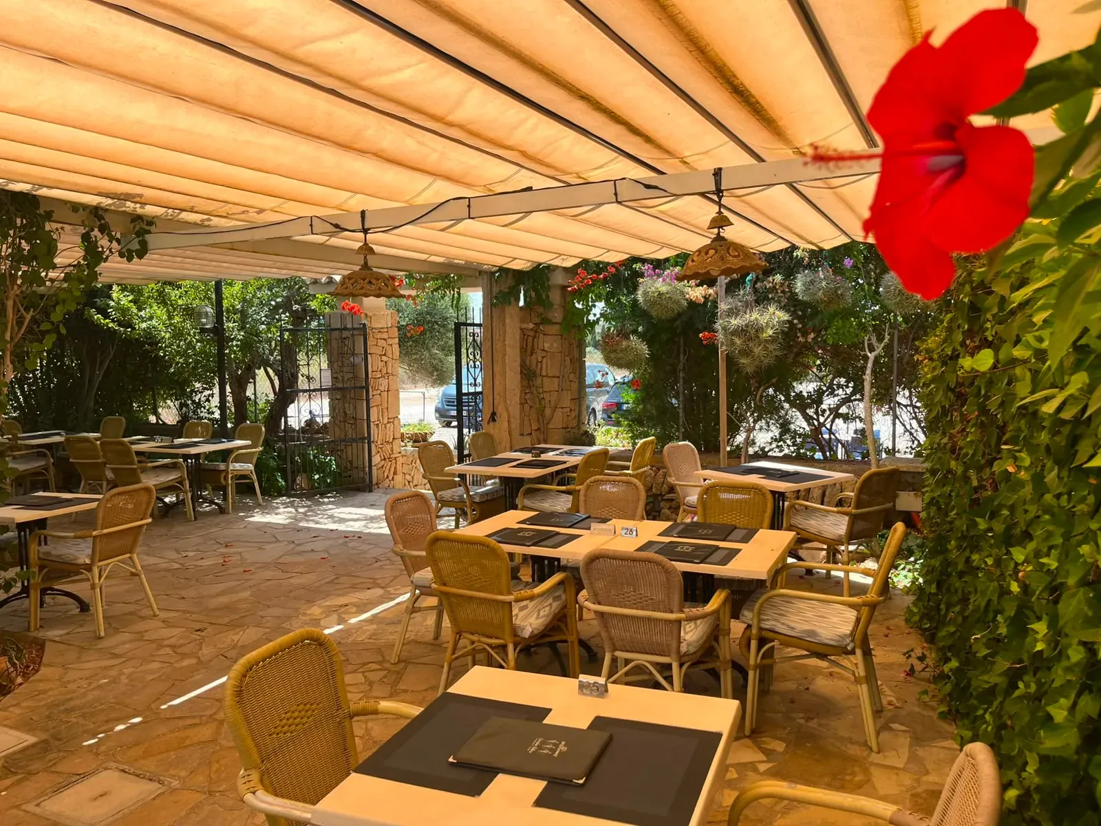 Garden terrace with hibiscus in flower