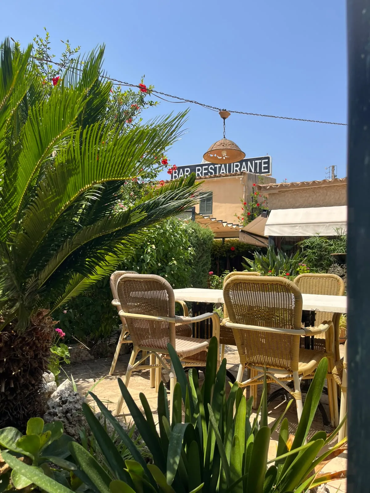 Terrace tables among palm trees
